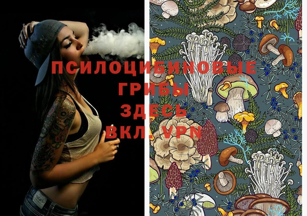 PSILOCYBIN Дмитровск