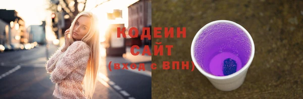 2c-b Елабуга