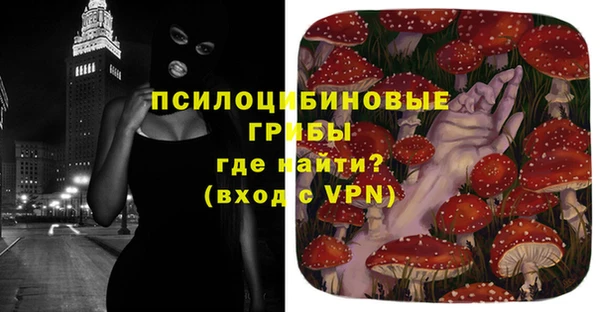 бутират Дмитриев