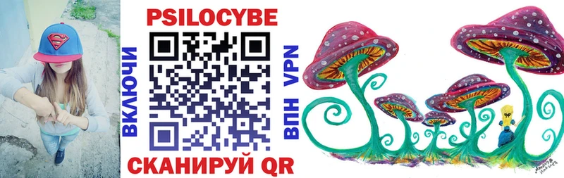 Галлюциногенные грибы прущие грибы  Купить закладки  Зея 